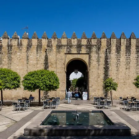 Alcazares In Historic Center コルドバ